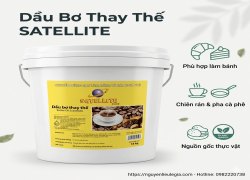 bo-thuc-vat-bo-dau-butter-oil-substitute