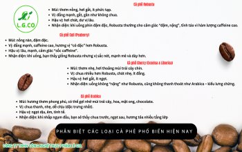 phan-bet-cac-dong-ca-phe-pho-bien-hien-nay