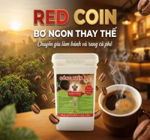 bo-ngon-thay-the-dong-tien-do-15kg