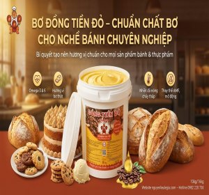 bo-ngon-cao-cap-dong-tien-do-16kg